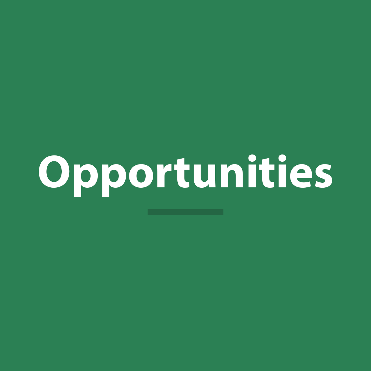 Opportunities copy