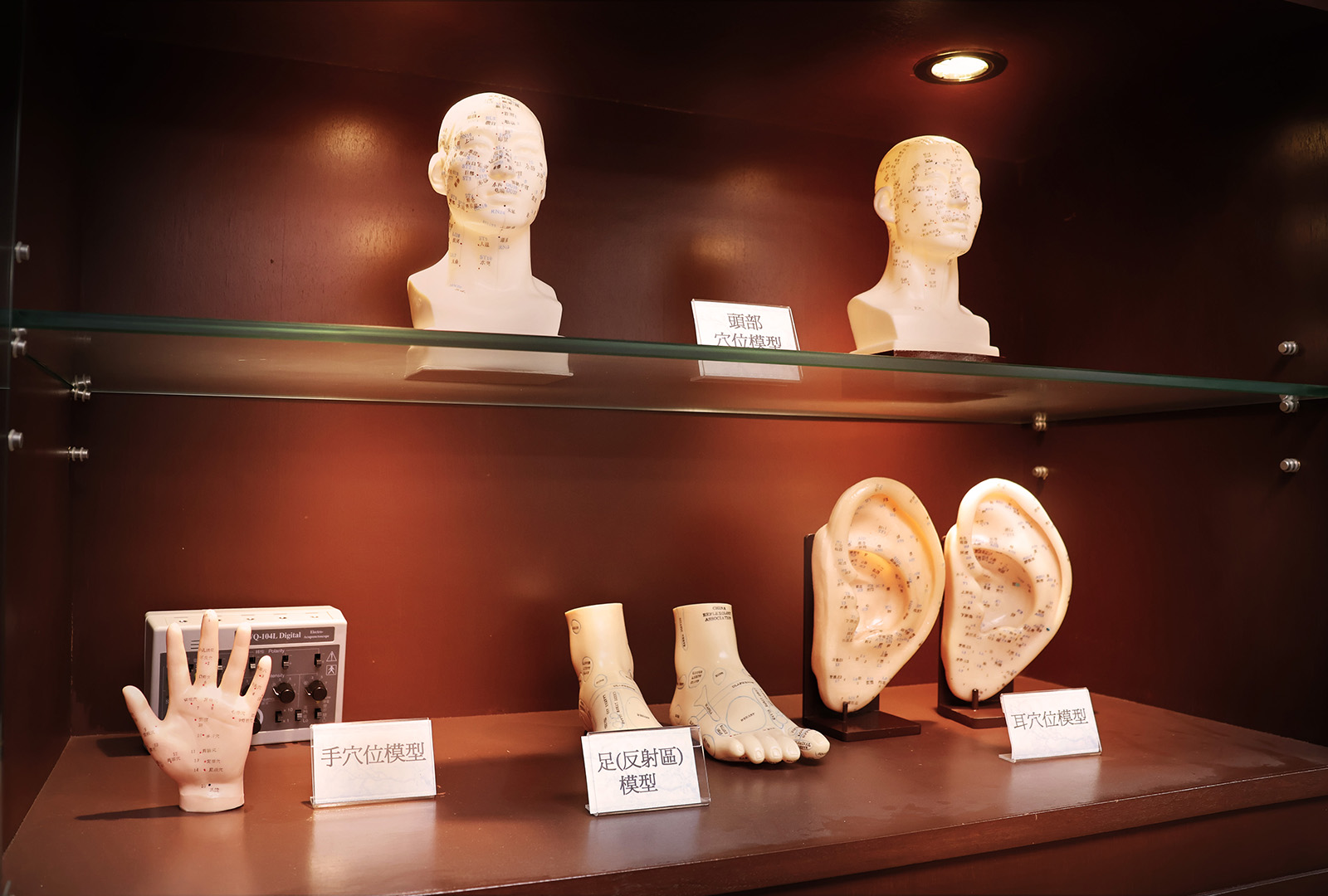 the-yuen-yuen-institute-chinese-medicinal-nursing-laboratory-03