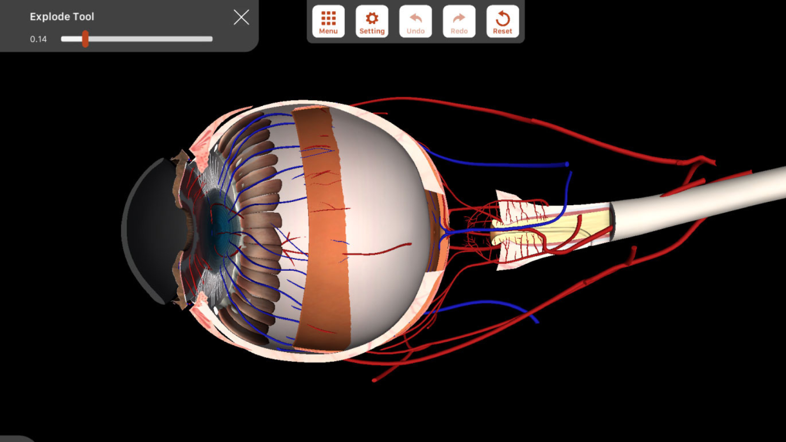 Optometry Model Teaching Innovations | School of Optometry