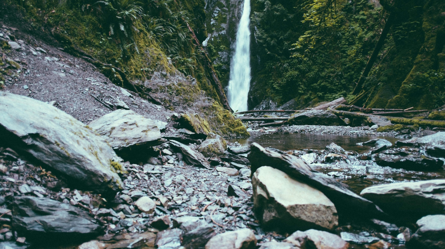 sample_img