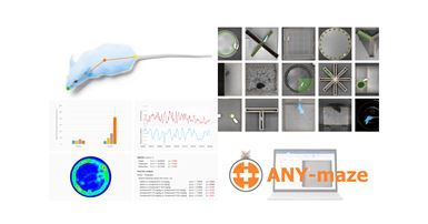 anymaze banner2