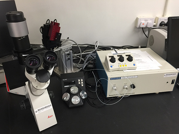 Leica DMi1 598x449