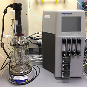 Bioreactor_284x284