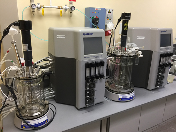 Bioreactor_598x449