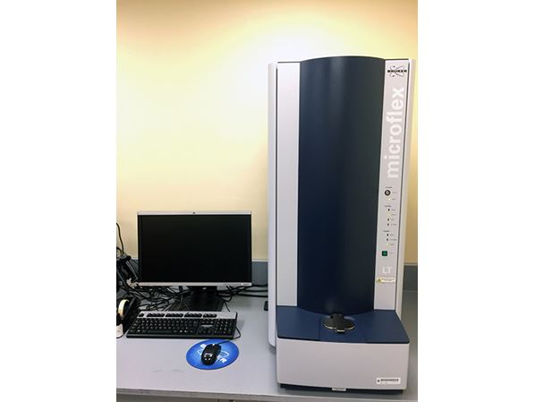 MALDI-TOF microbial identification_598x449