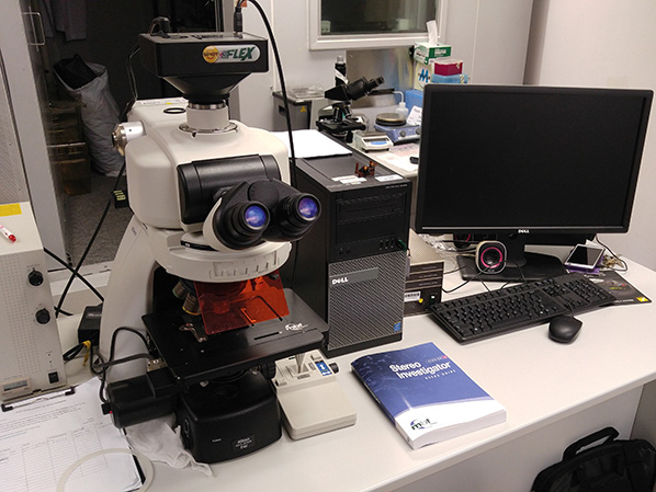 Stimulation tracking and morphological analysis platform2598x449