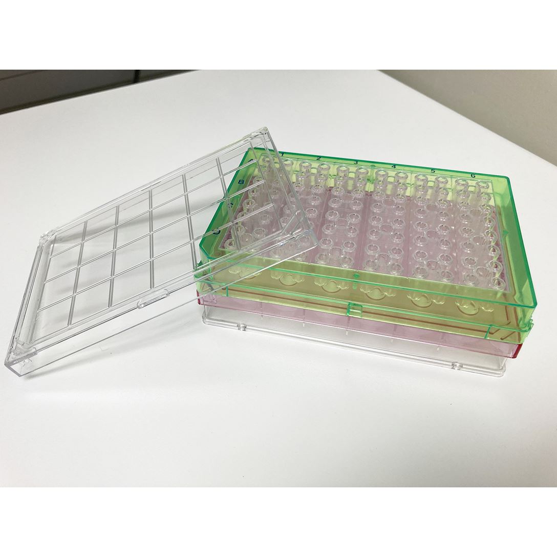 Seahorse XFe24 1088x1088