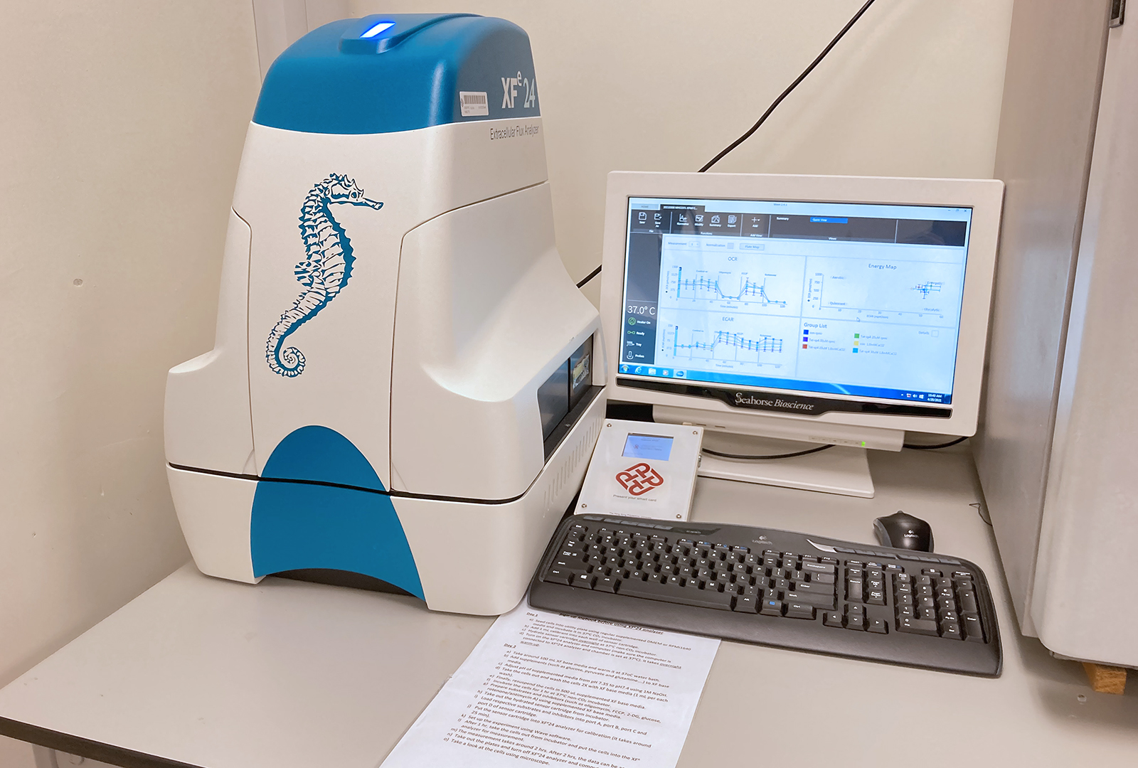 Seahorse XFe24 1600x1080