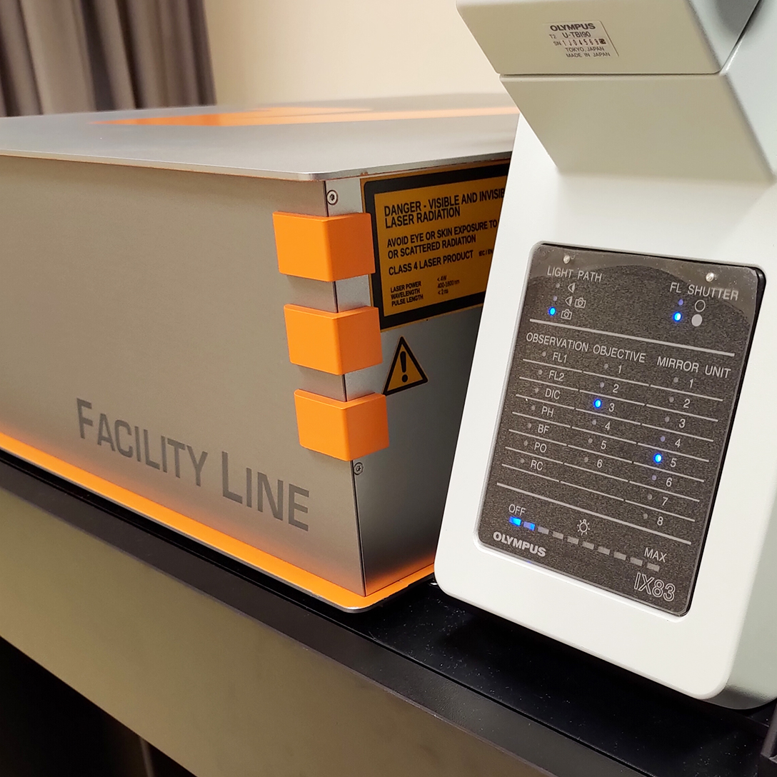Abberior STED Super-resolution Microscope | ULS