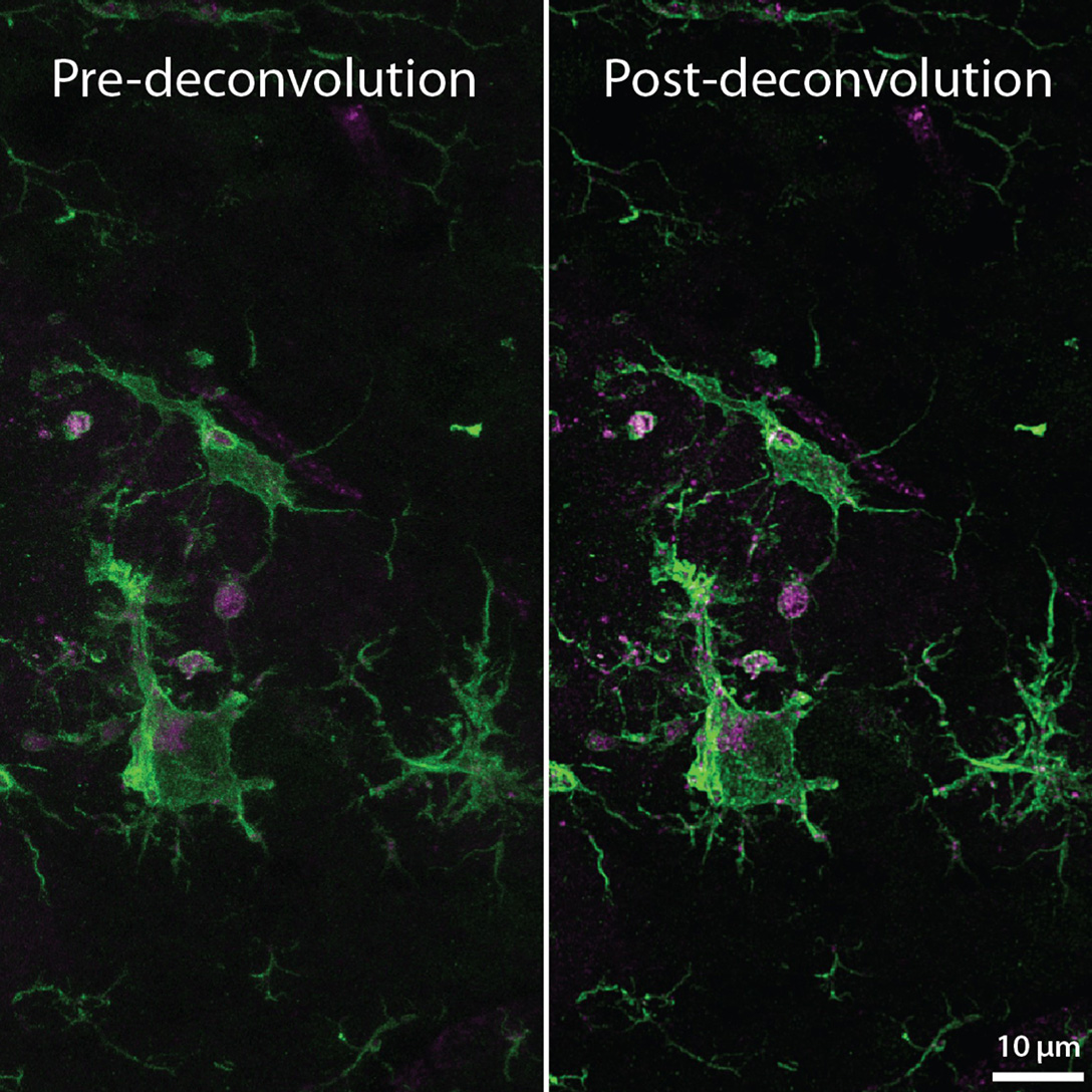 Deconvolution 1088X1088