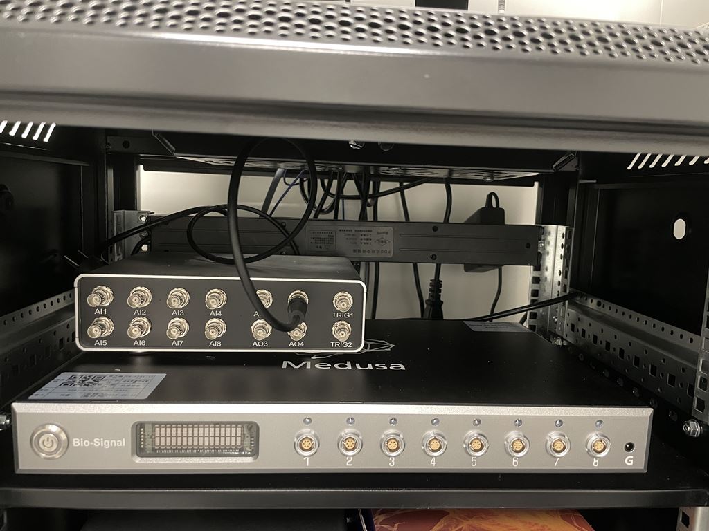 Y720nMedusa EEG EMG Recording System For Small Animals