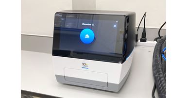 iX 1600x1088