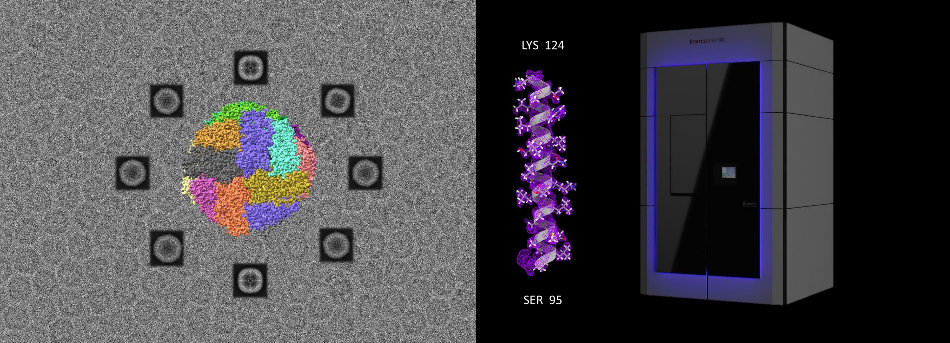 cryoEM_banner_3840x1388