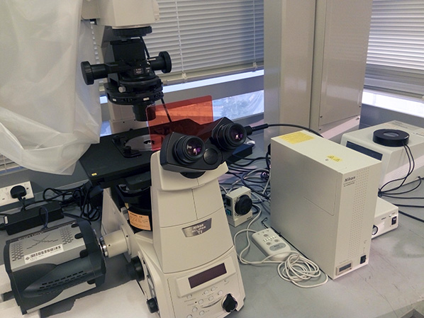 single molecule radiotracer imaging system_598x449