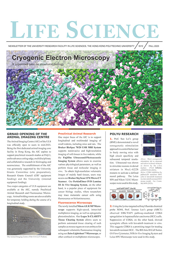 Newsletter Fall 2023560x860