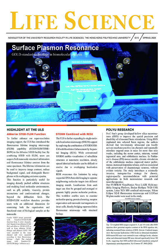 Newsletter SPRING2026 560x860