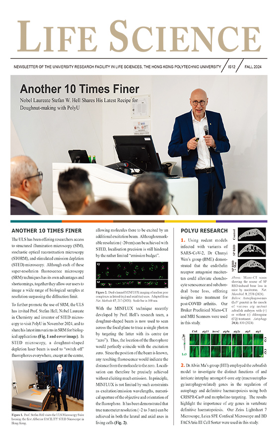 ULS Newsletter Fall 2024 560x860