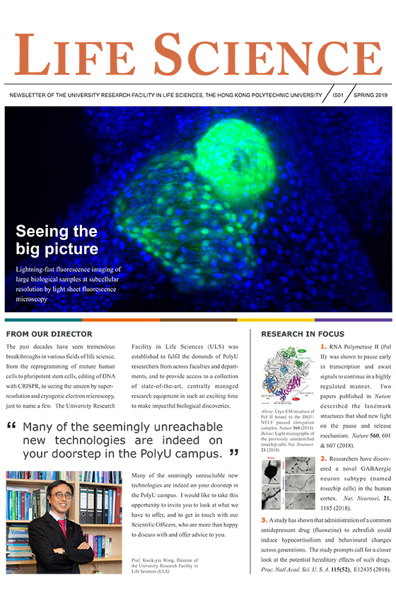 ULS Newsletter Spring 2019560x860