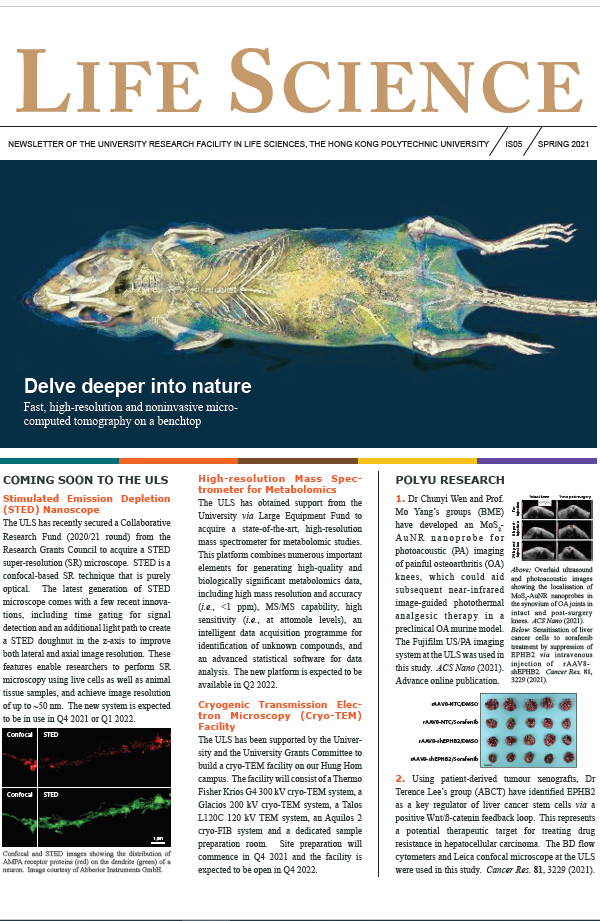 ULS Newsletter Spring 2021560x860