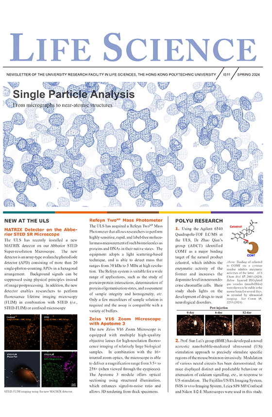 ULS Newsletter Spring 2024560x860