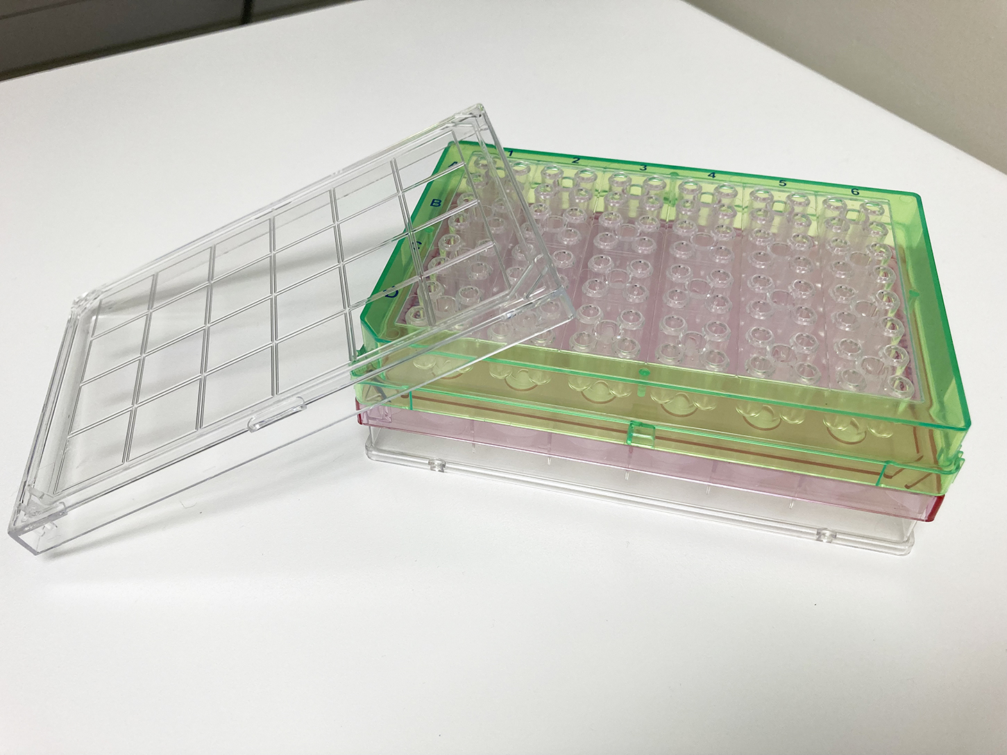 Seahorse XFe24 1088x1088