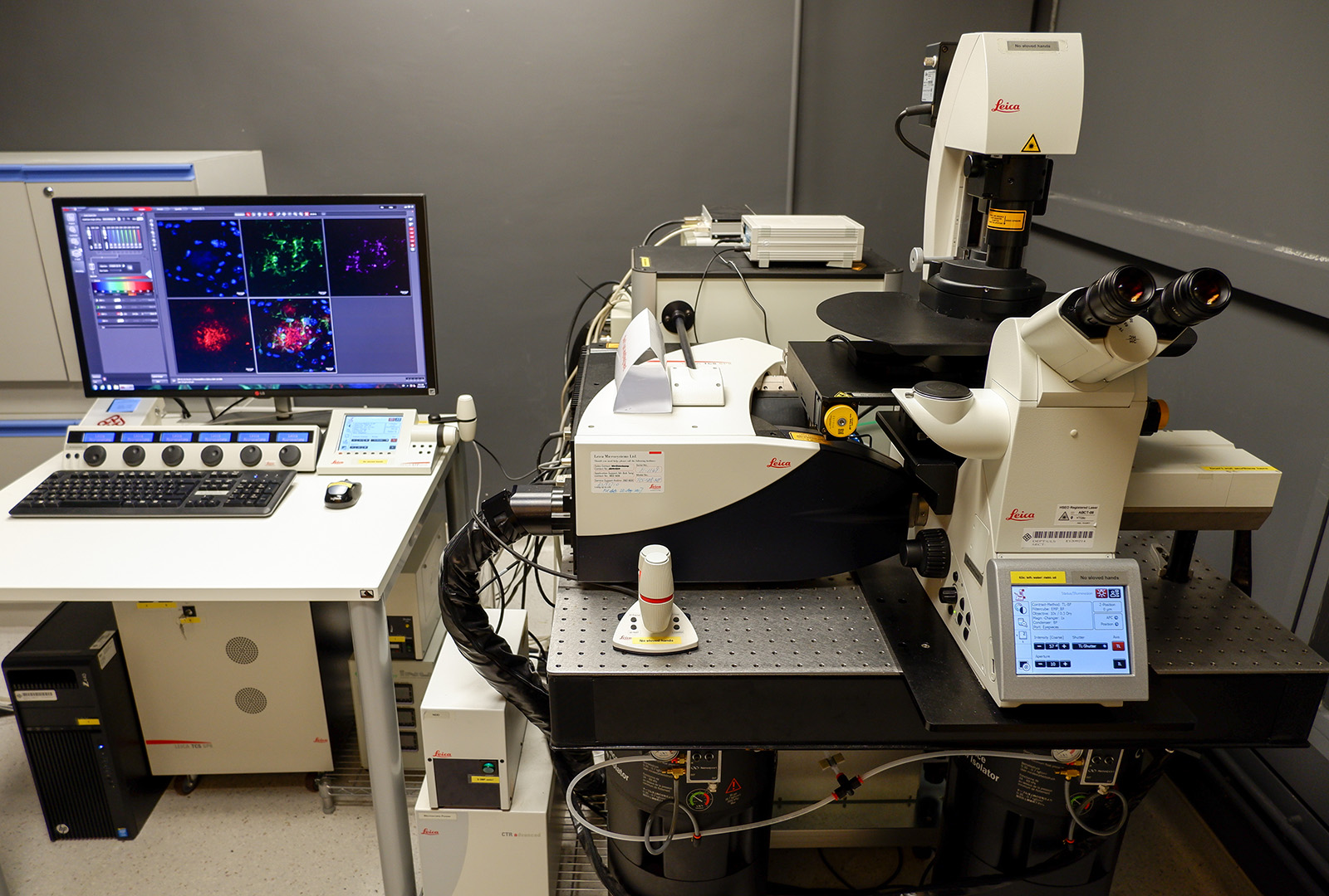 Leica SP8 Multiphoton Microscope | ULS