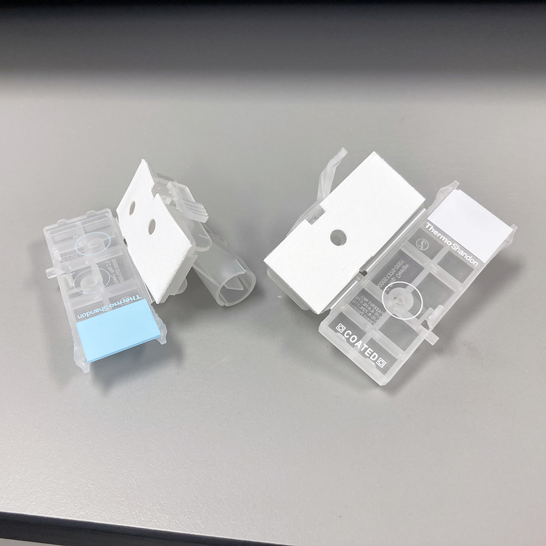 accessories 1088x1088