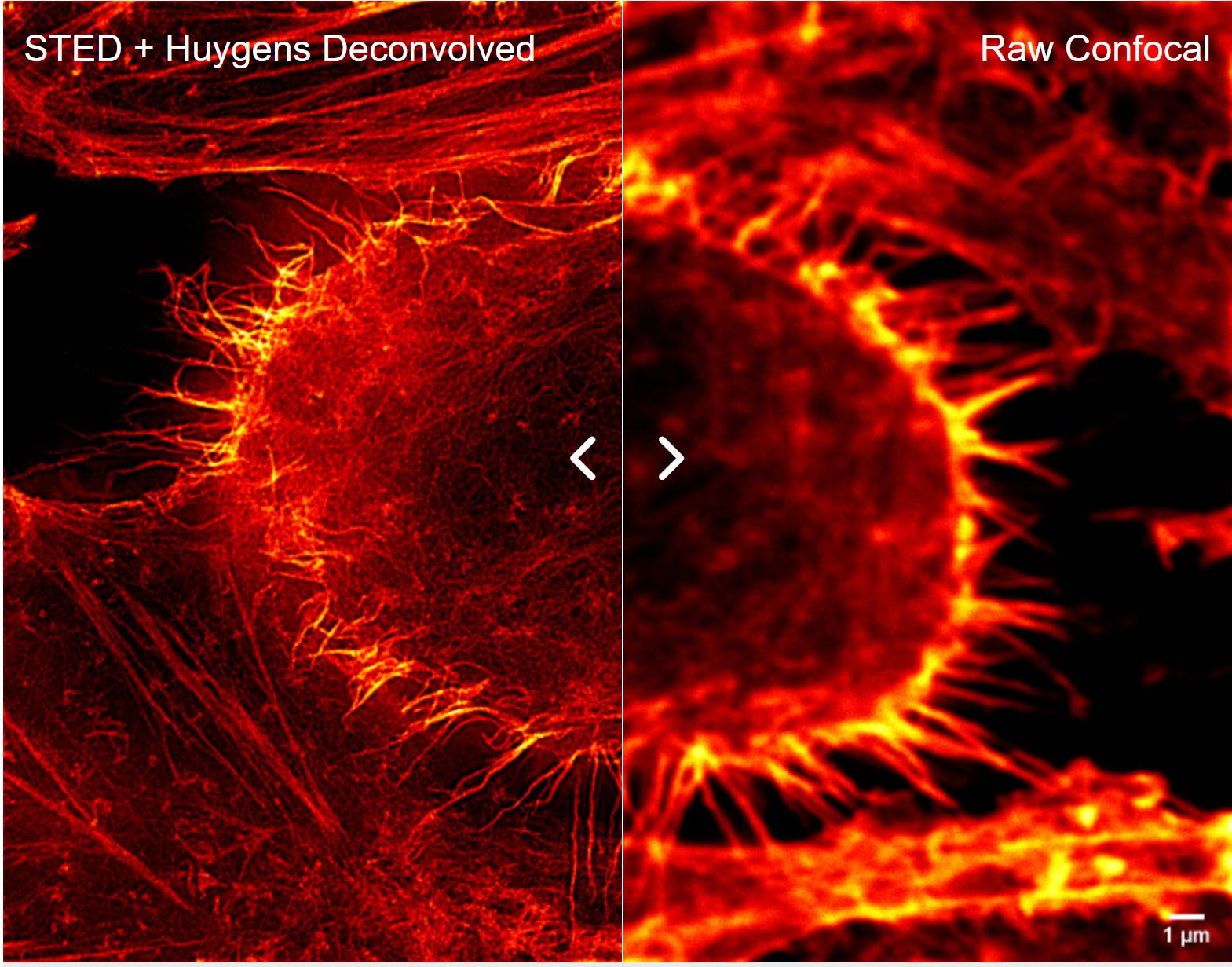 Huygens image-fig2