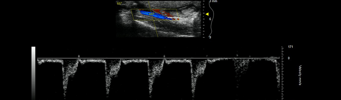 FUJIFILM Vevo LAB software_1166x342