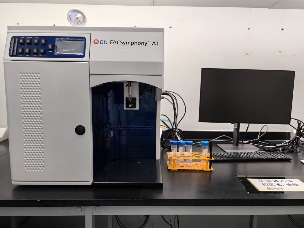 Y607a-BD FACSymphony A1 Cell Analyzer