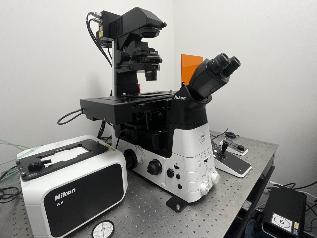 Y607a-Nikon AXR Laser Confocal Microscope-1