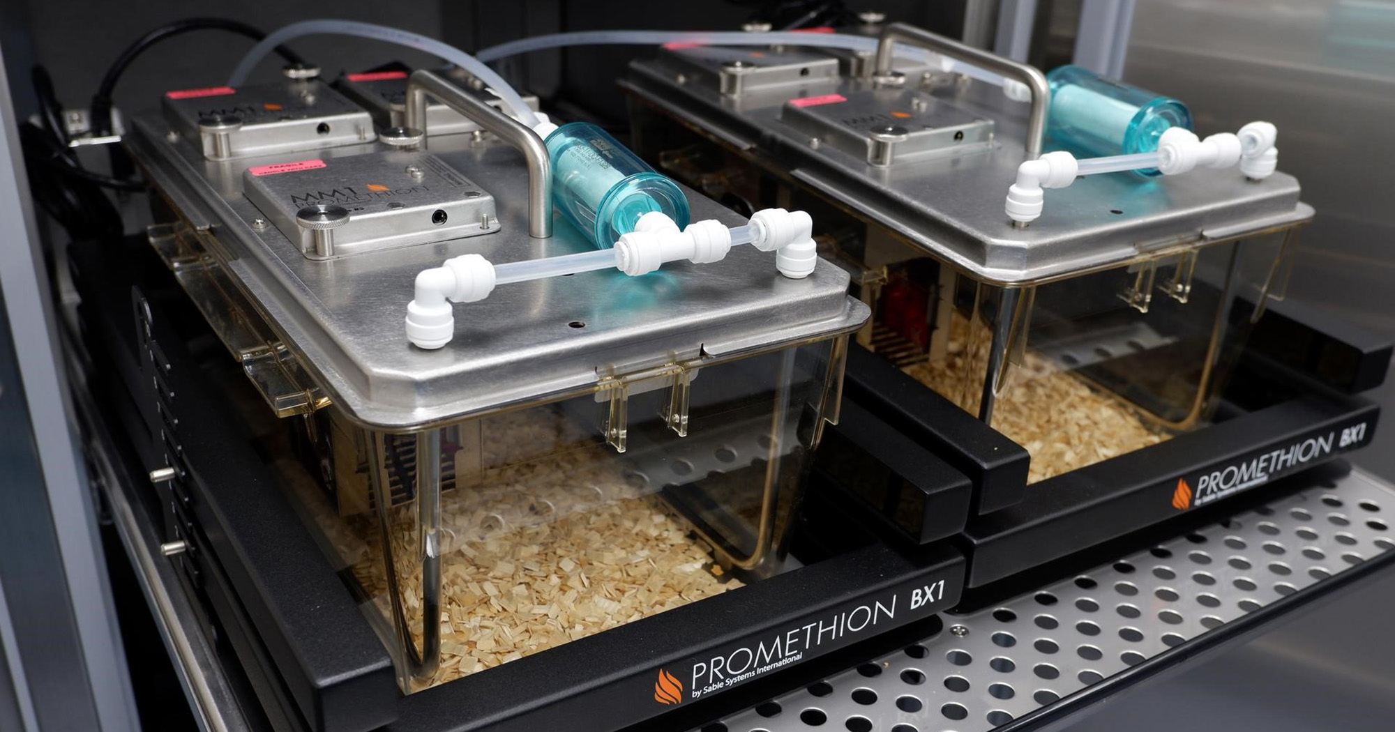 Metabolic cage system 2000x1050