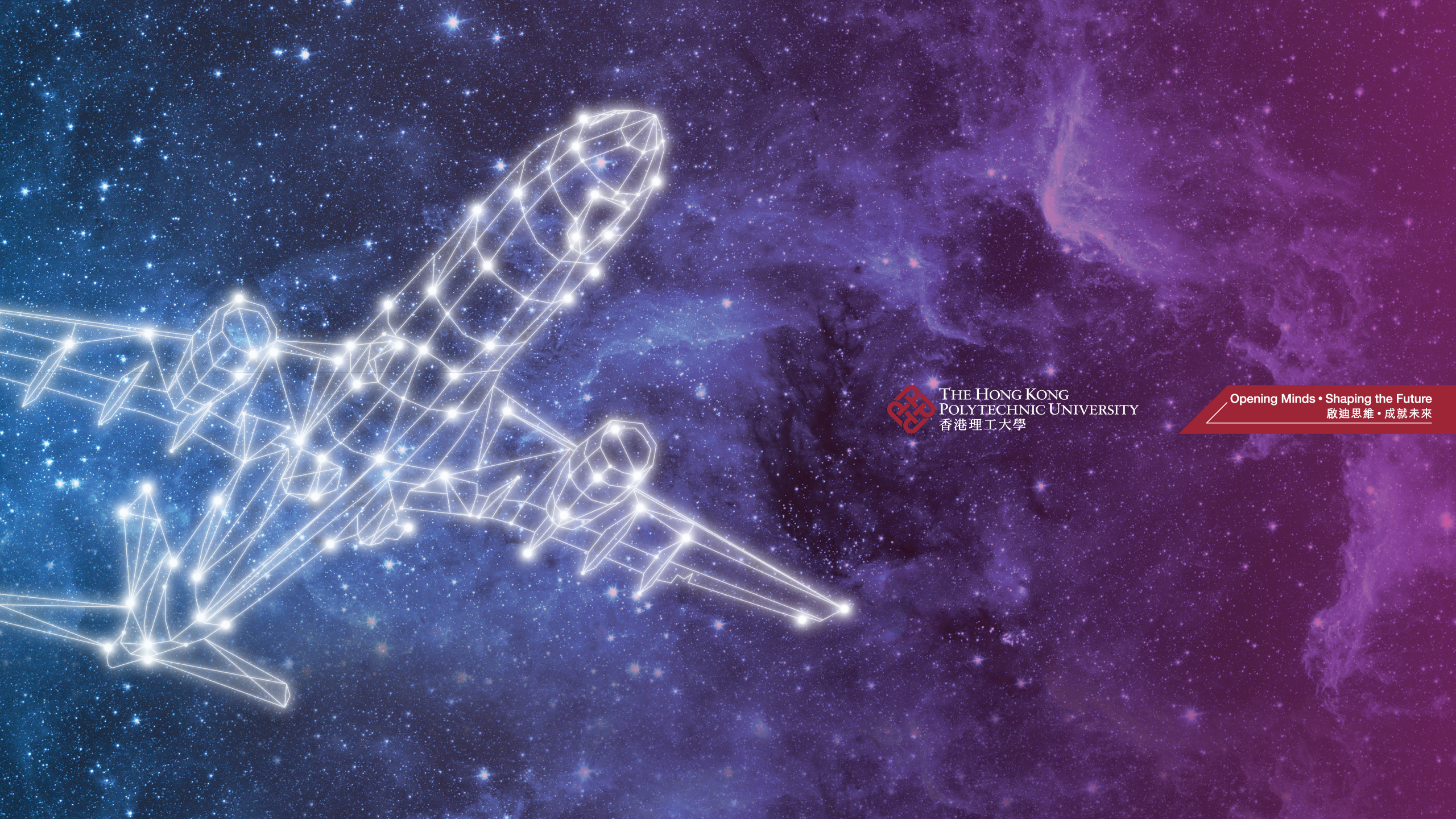 Wallpapers Polyu